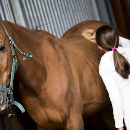 Vincci Valdecanas Golf Hotel