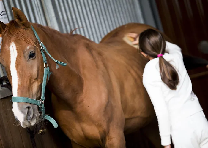 Vincci Valdecanas Golf Hotel